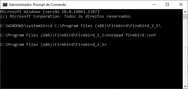 Prompt de comando do Windows mostrando comandos executados